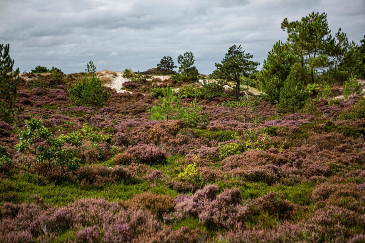 Strandstudio'S Camperduin Schoorl Exteriér fotografie